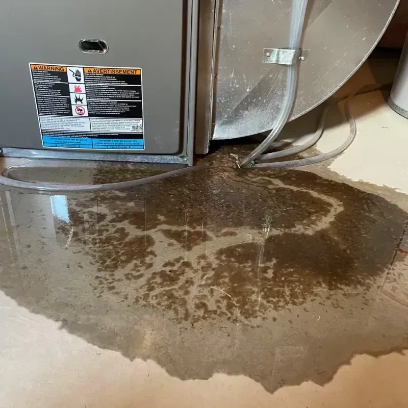 Appliance Leak Cleanup in Clayton County, IA